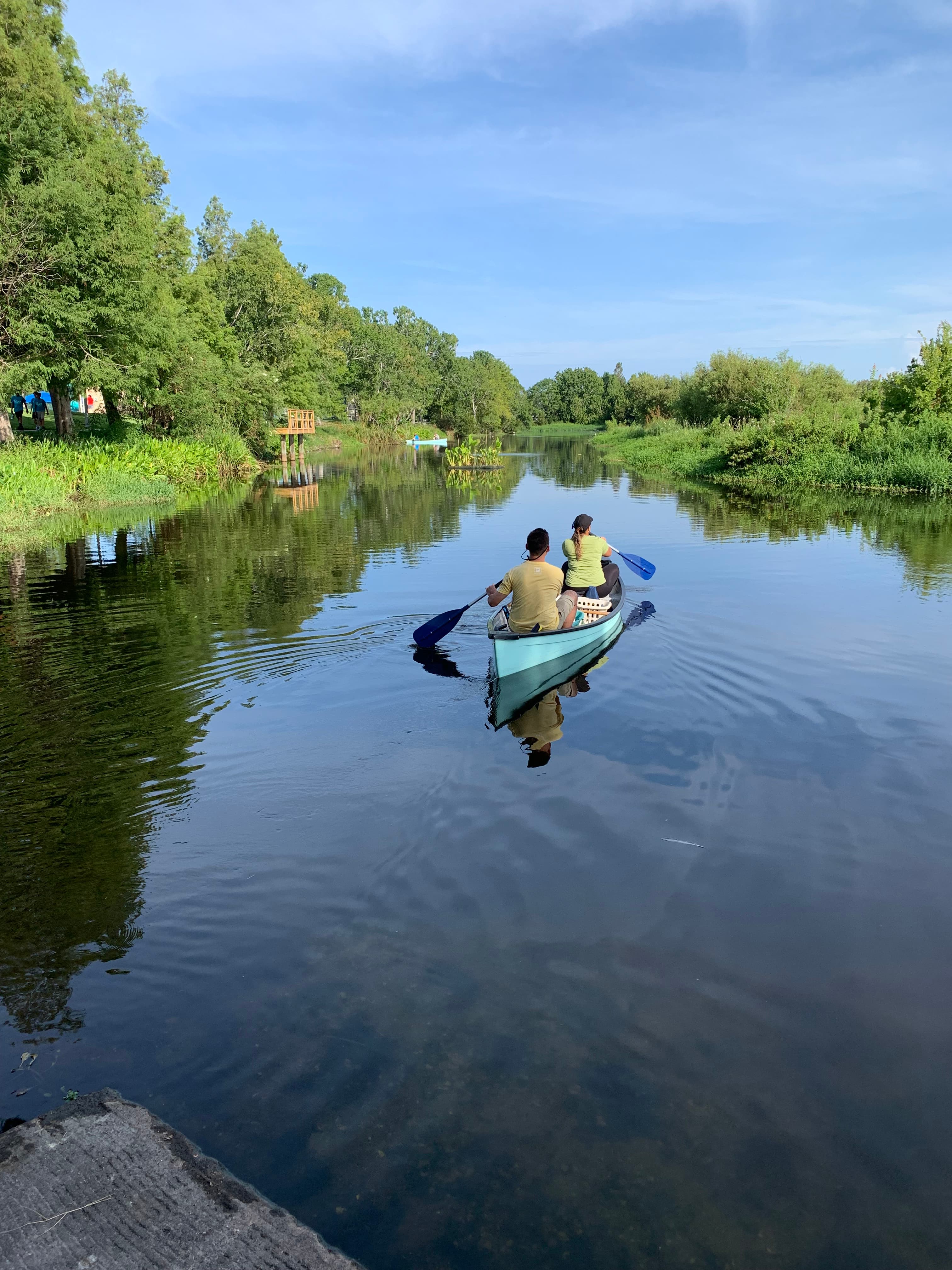 Jungle Lake main view