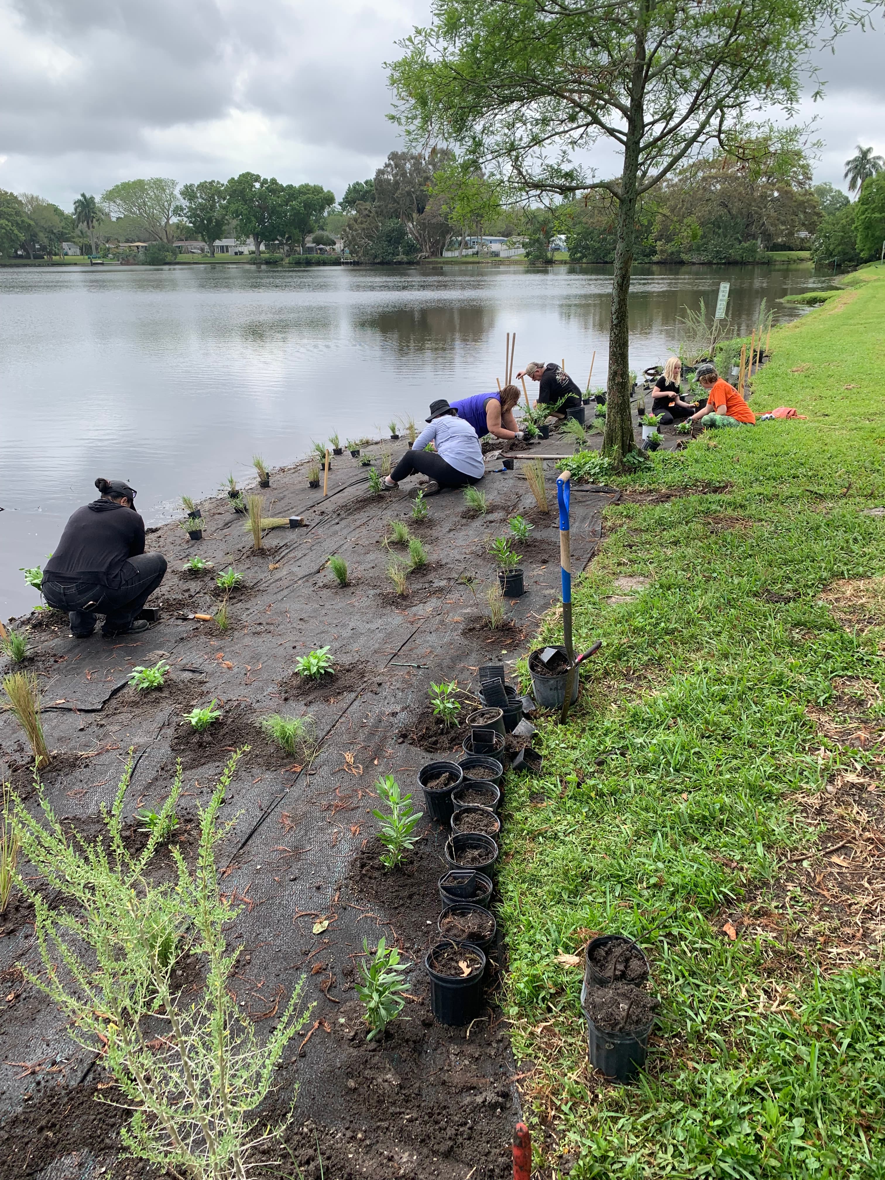 Meadowlawn Lake shoreline