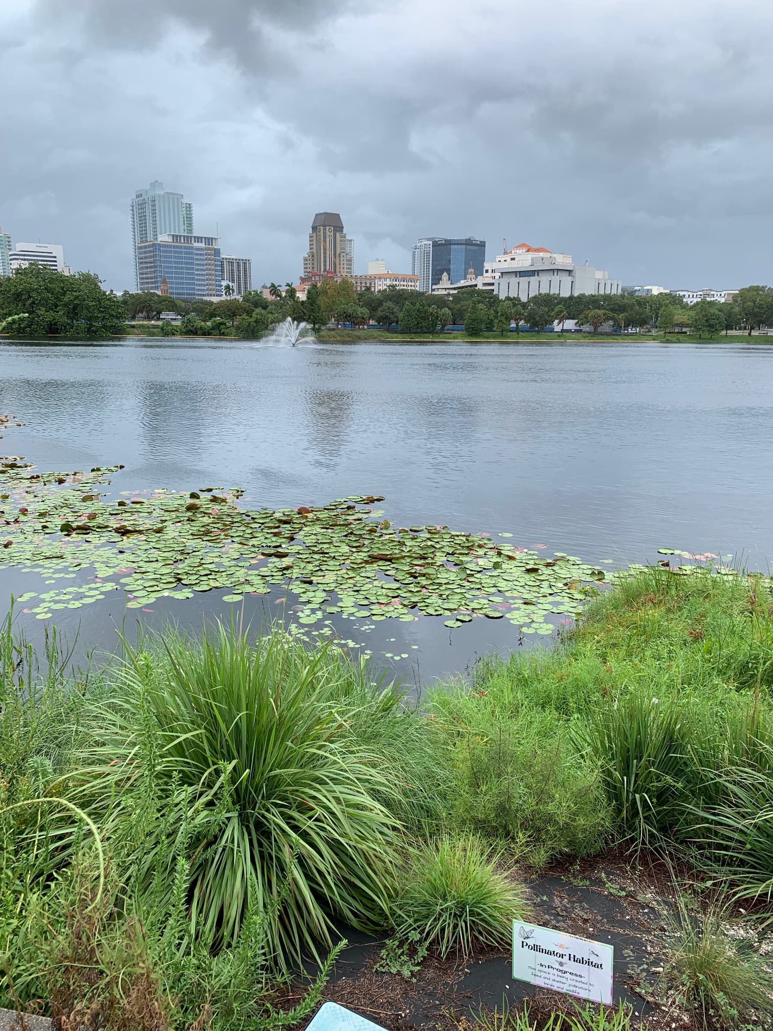 Mirror Lake main view