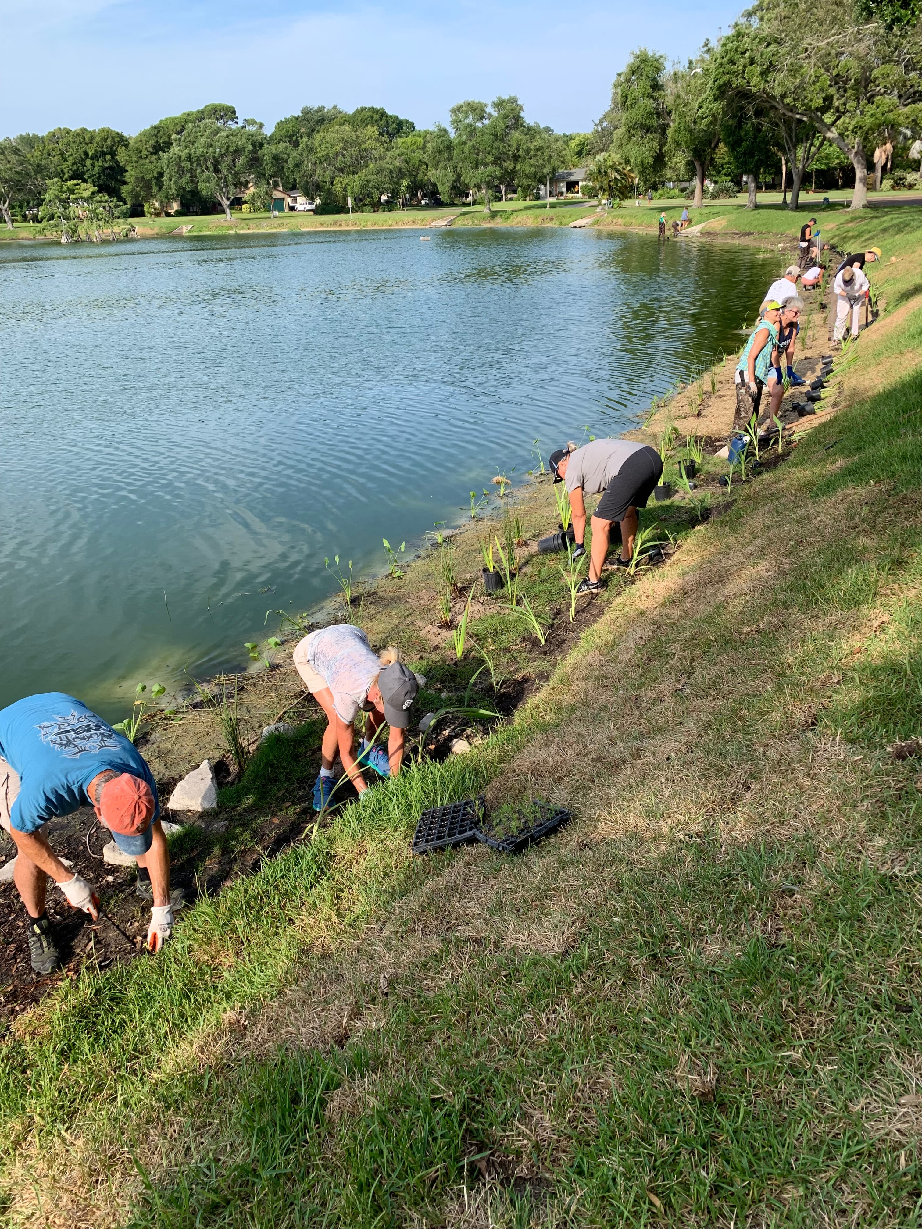 Lake Pasadena shoreline