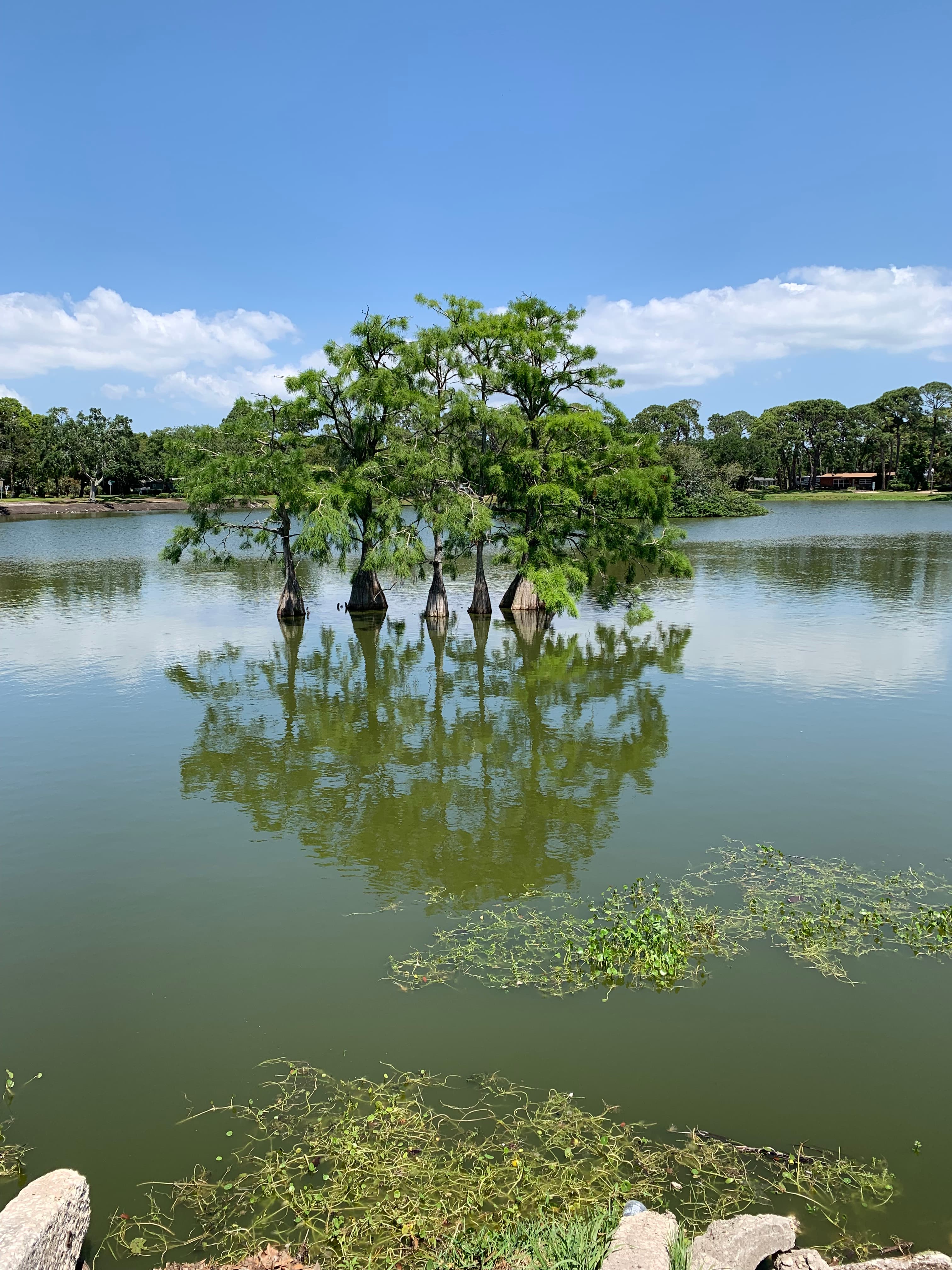 Lake Pasadena main view