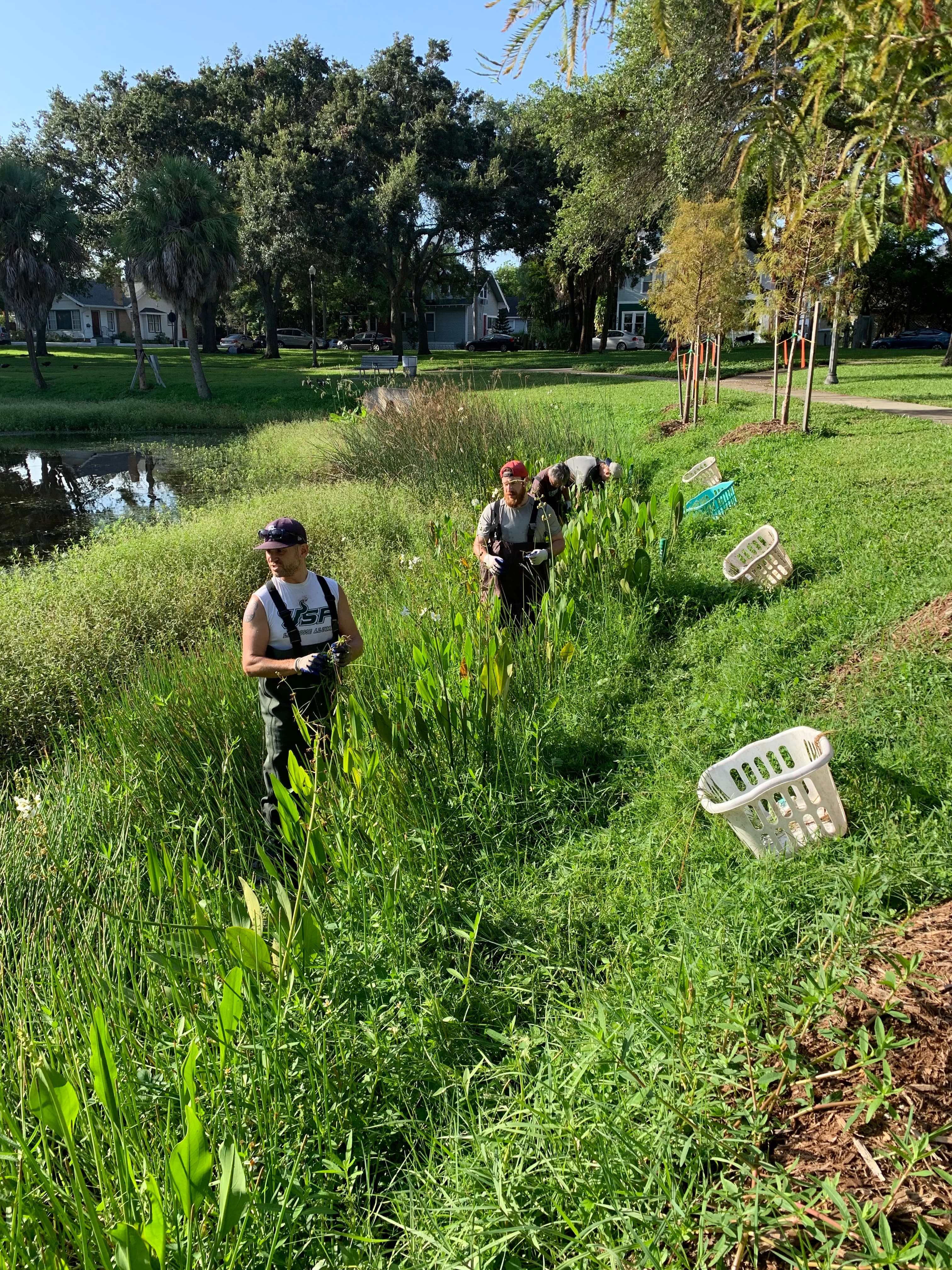 Round Lake shoreline