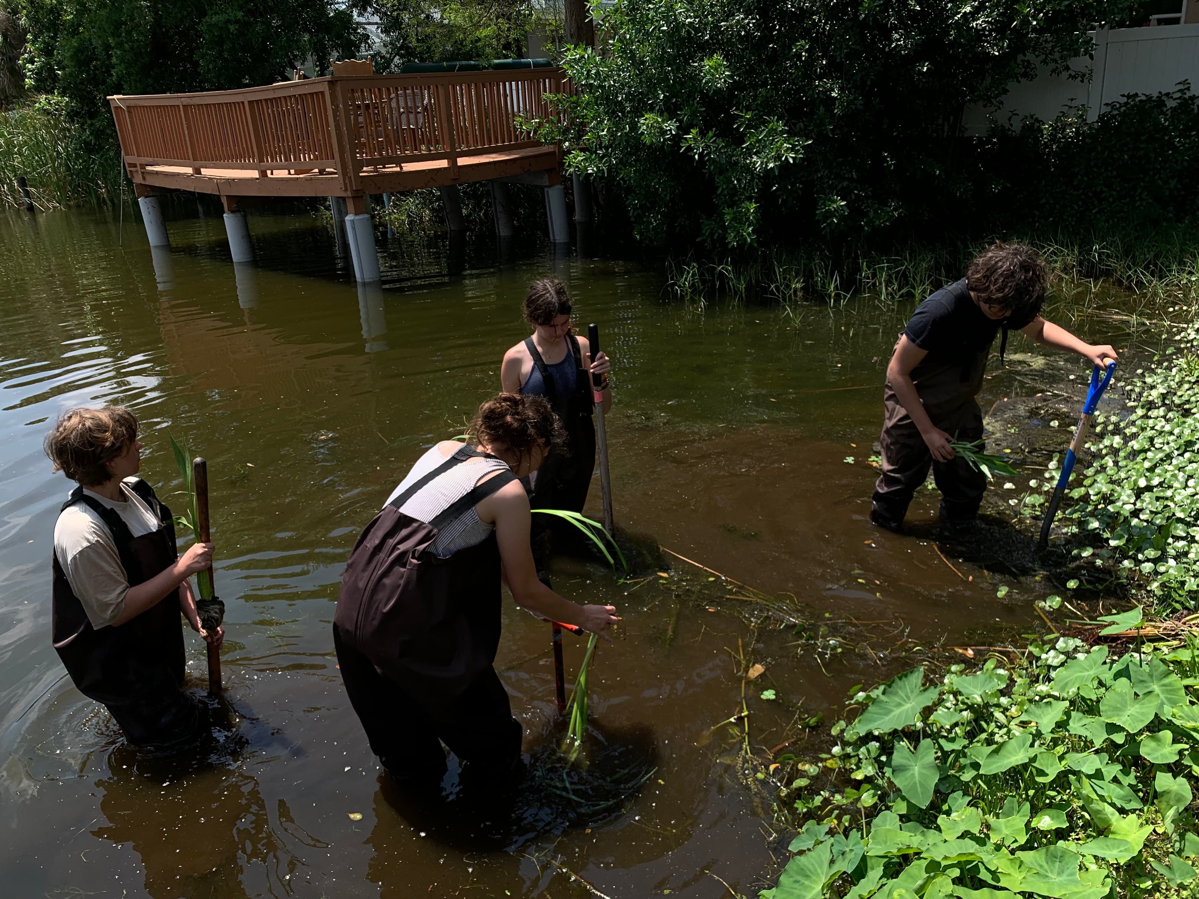 Winston Lake shoreline