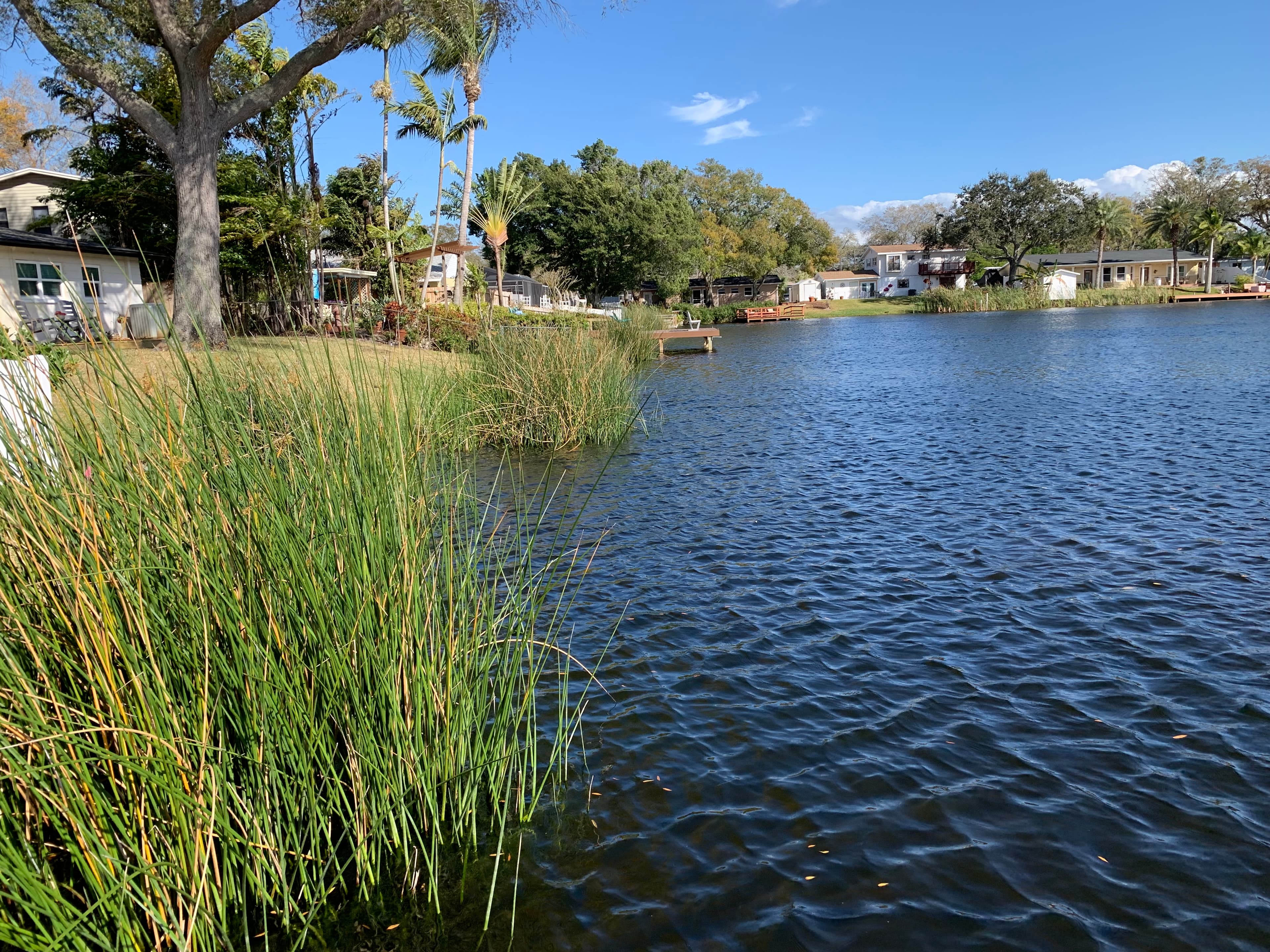 Winston Lake main view