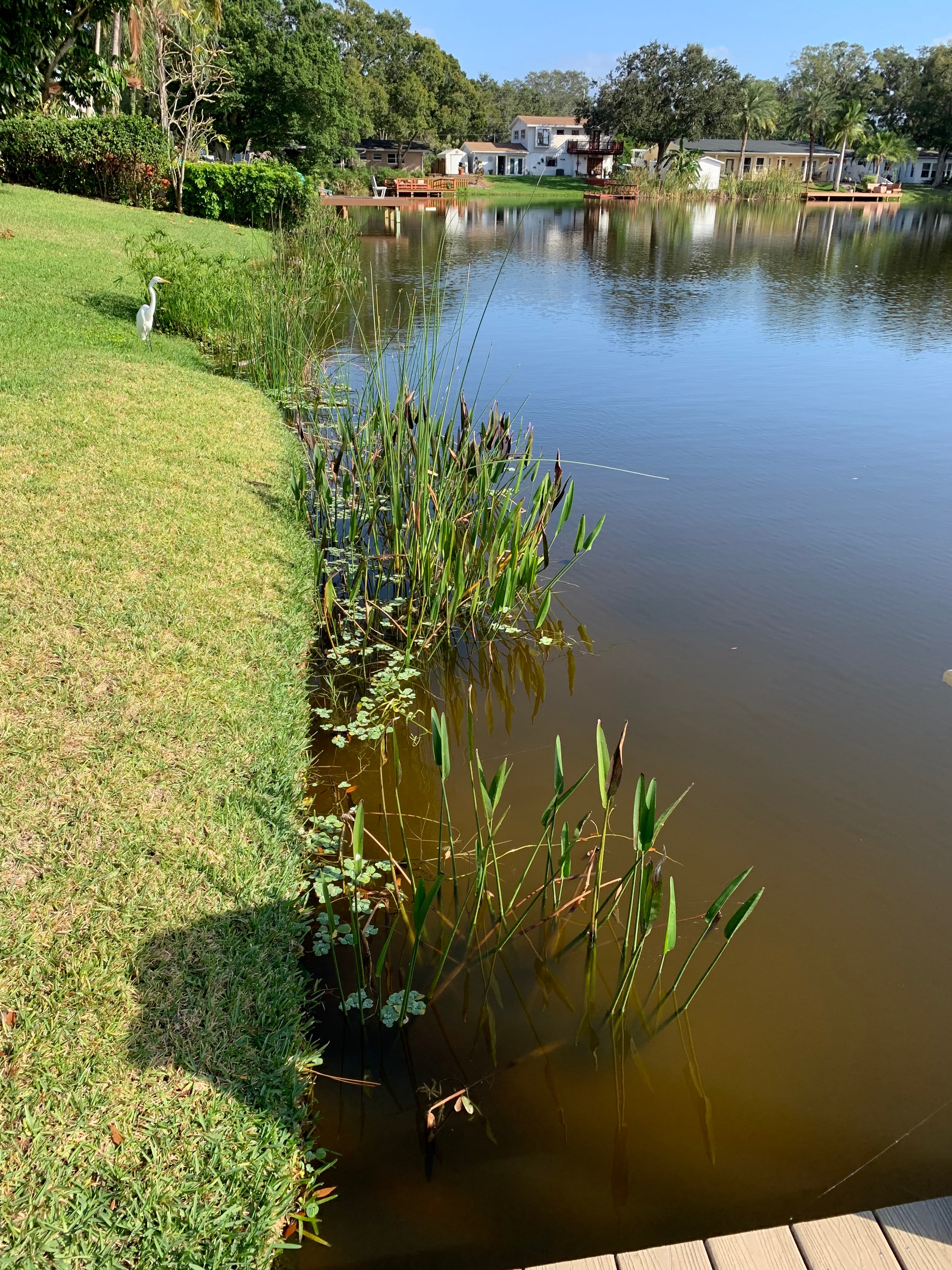 Winston Lake wildlife